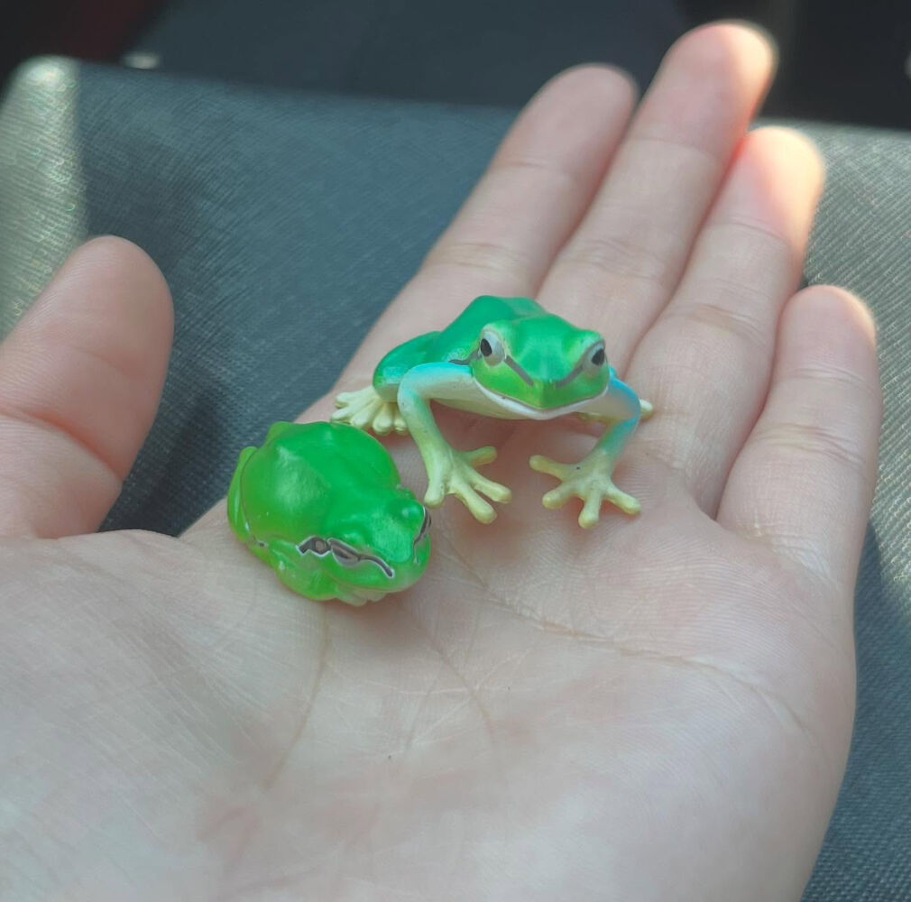ブログ