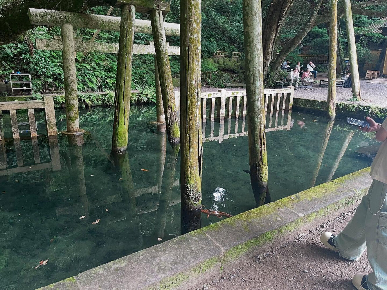 ブログ