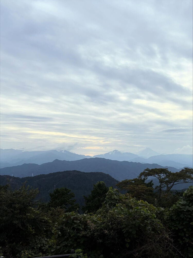 ブログ