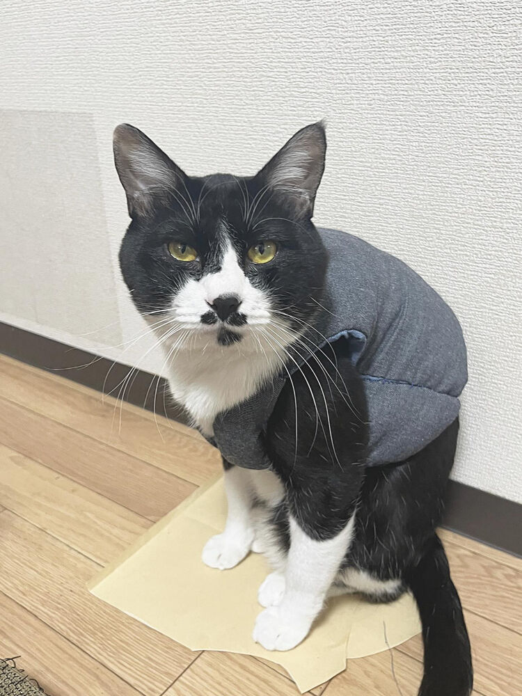 ブログ
