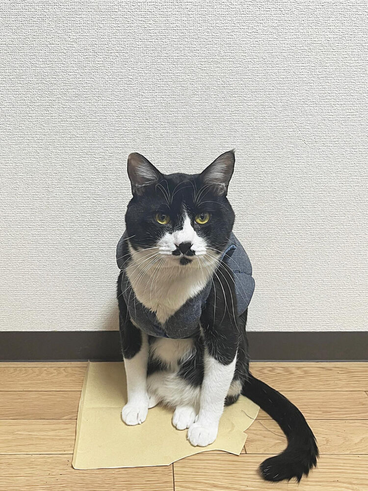 ブログ