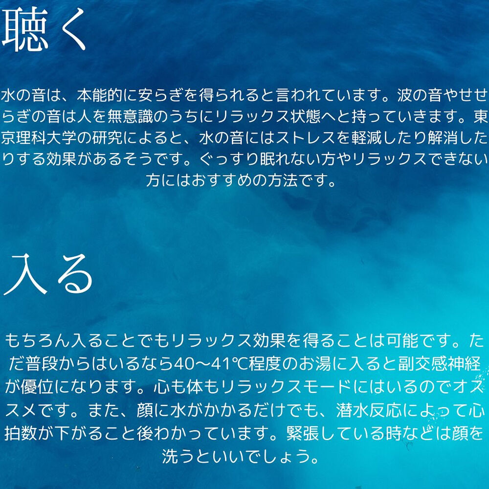 ブログ