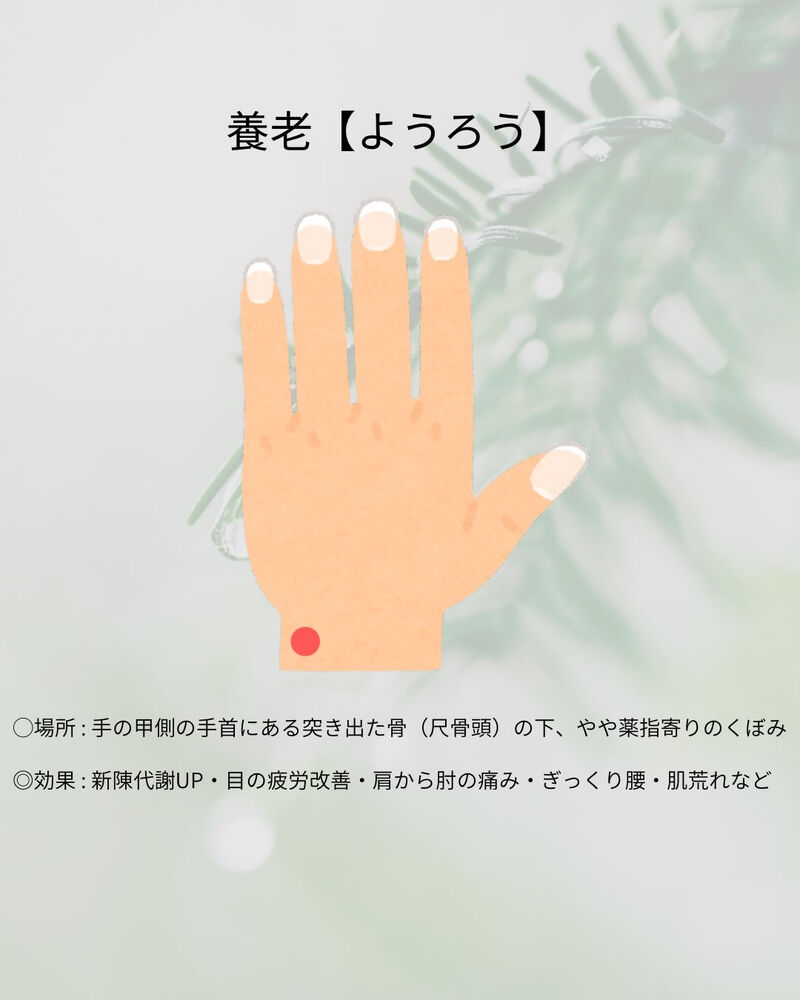 ブログ