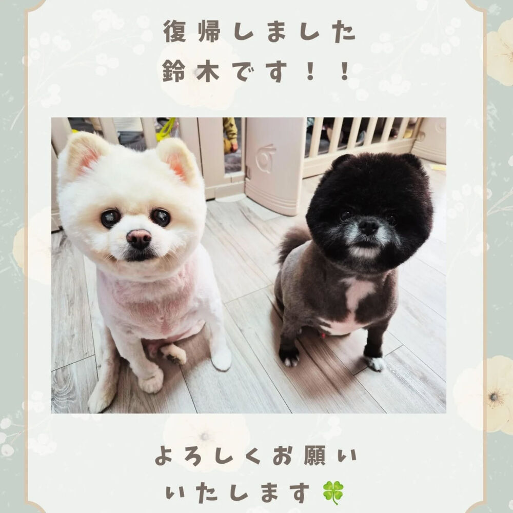 ブログ