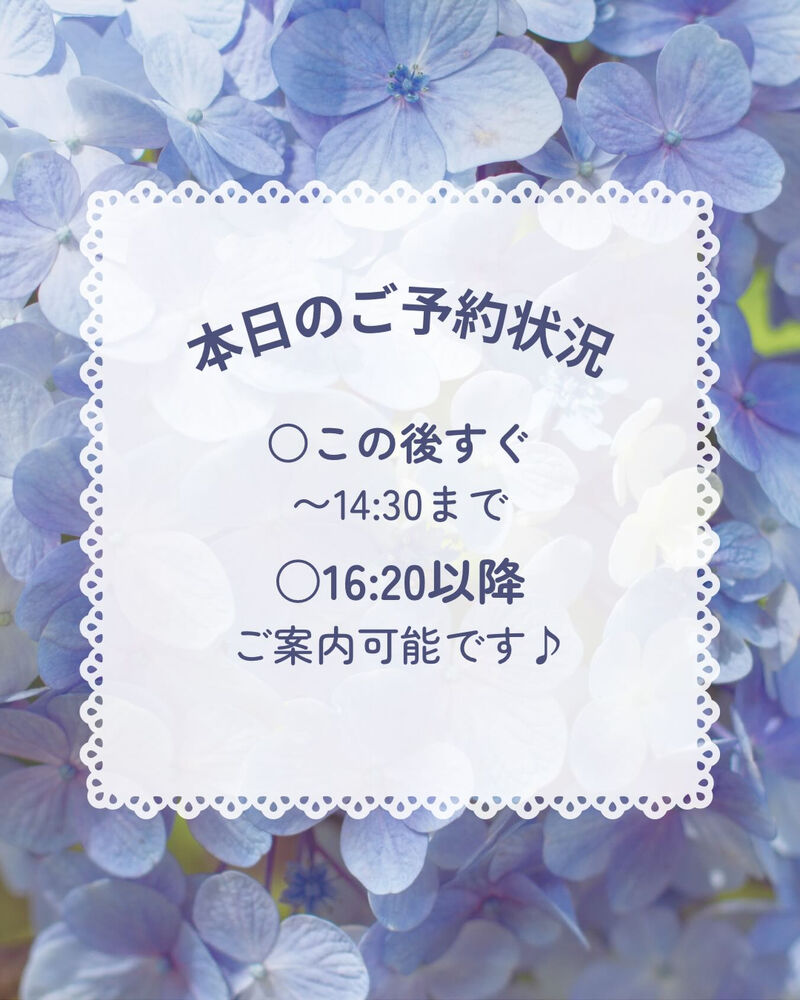ブログ