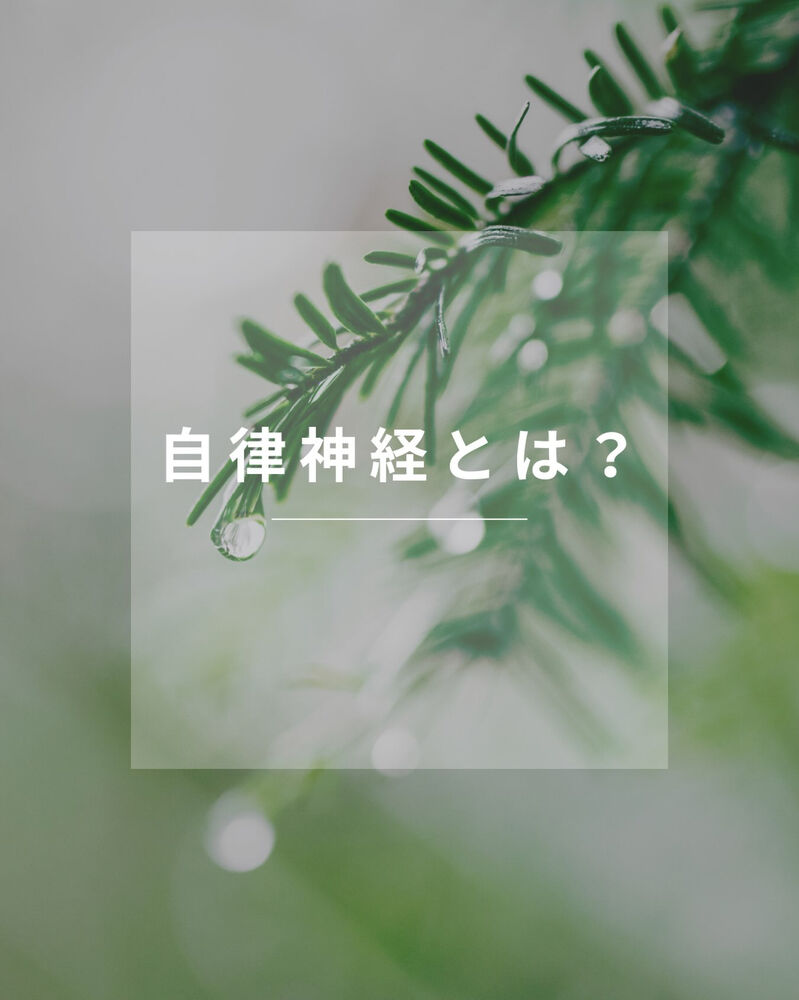 ブログ