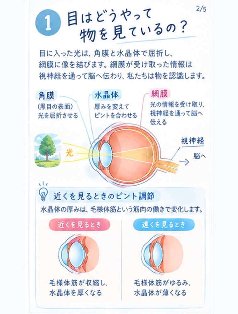 ブログ