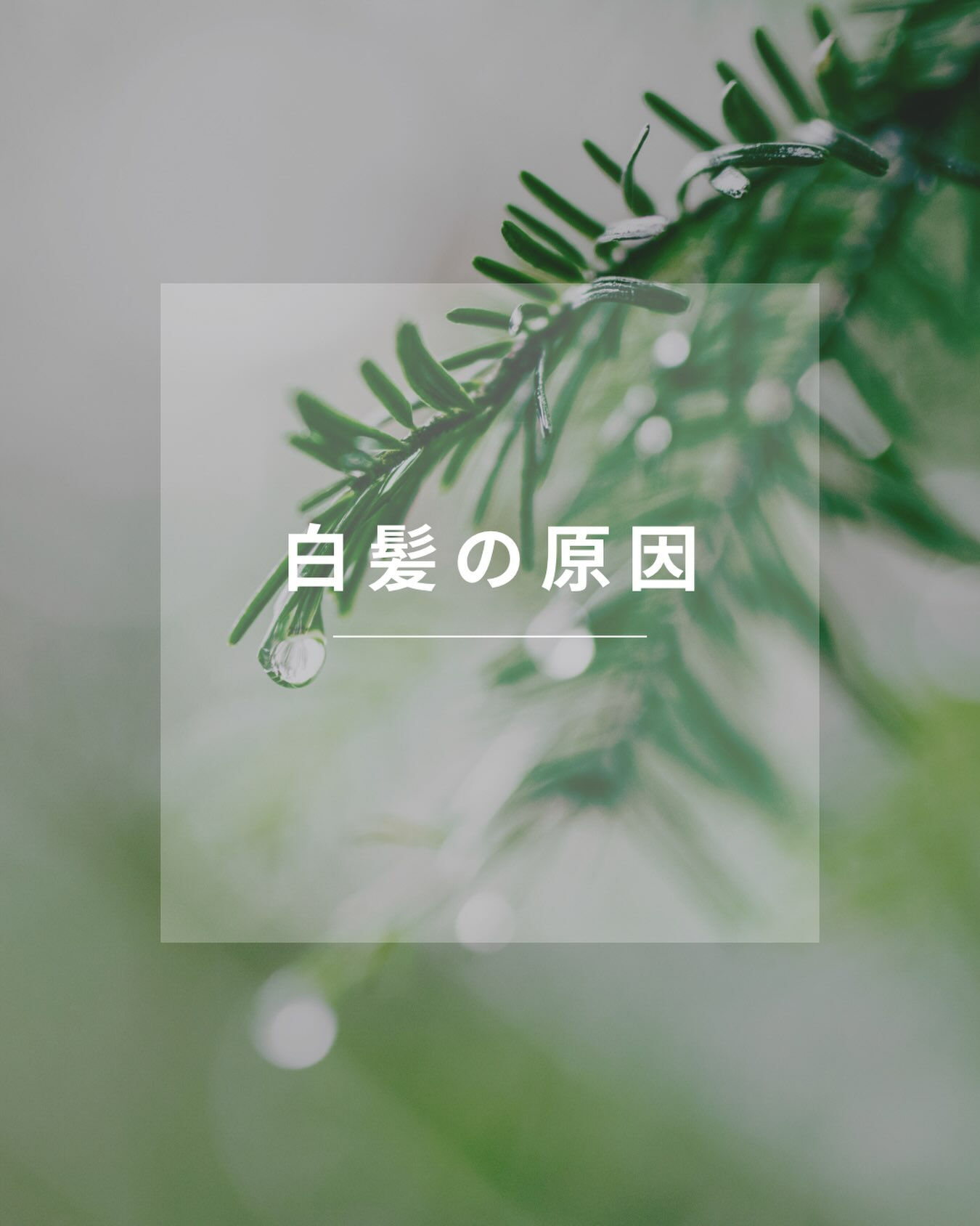 ブログ
