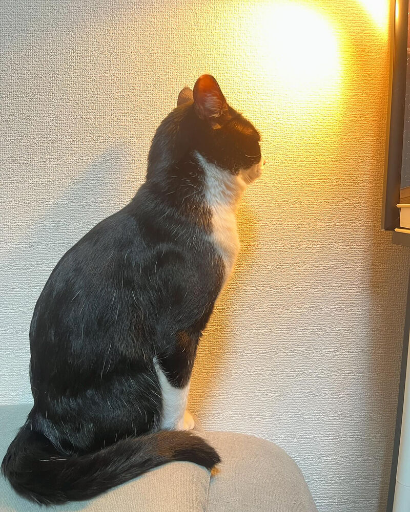 ブログ