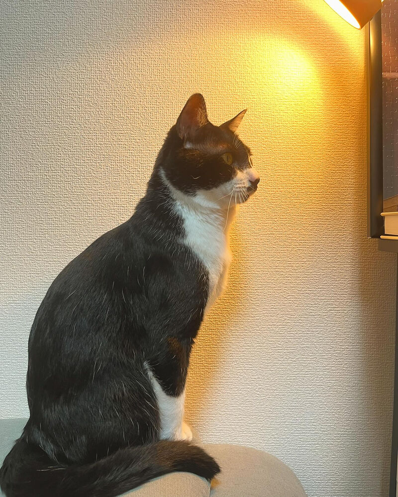 ブログ