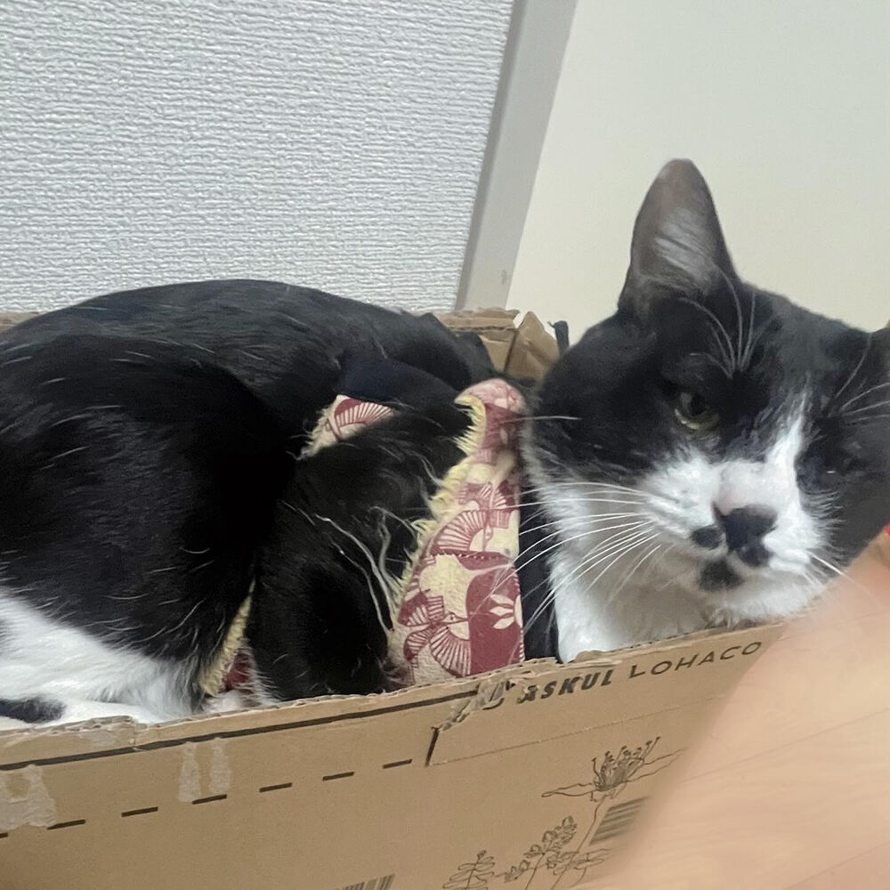 ブログ
