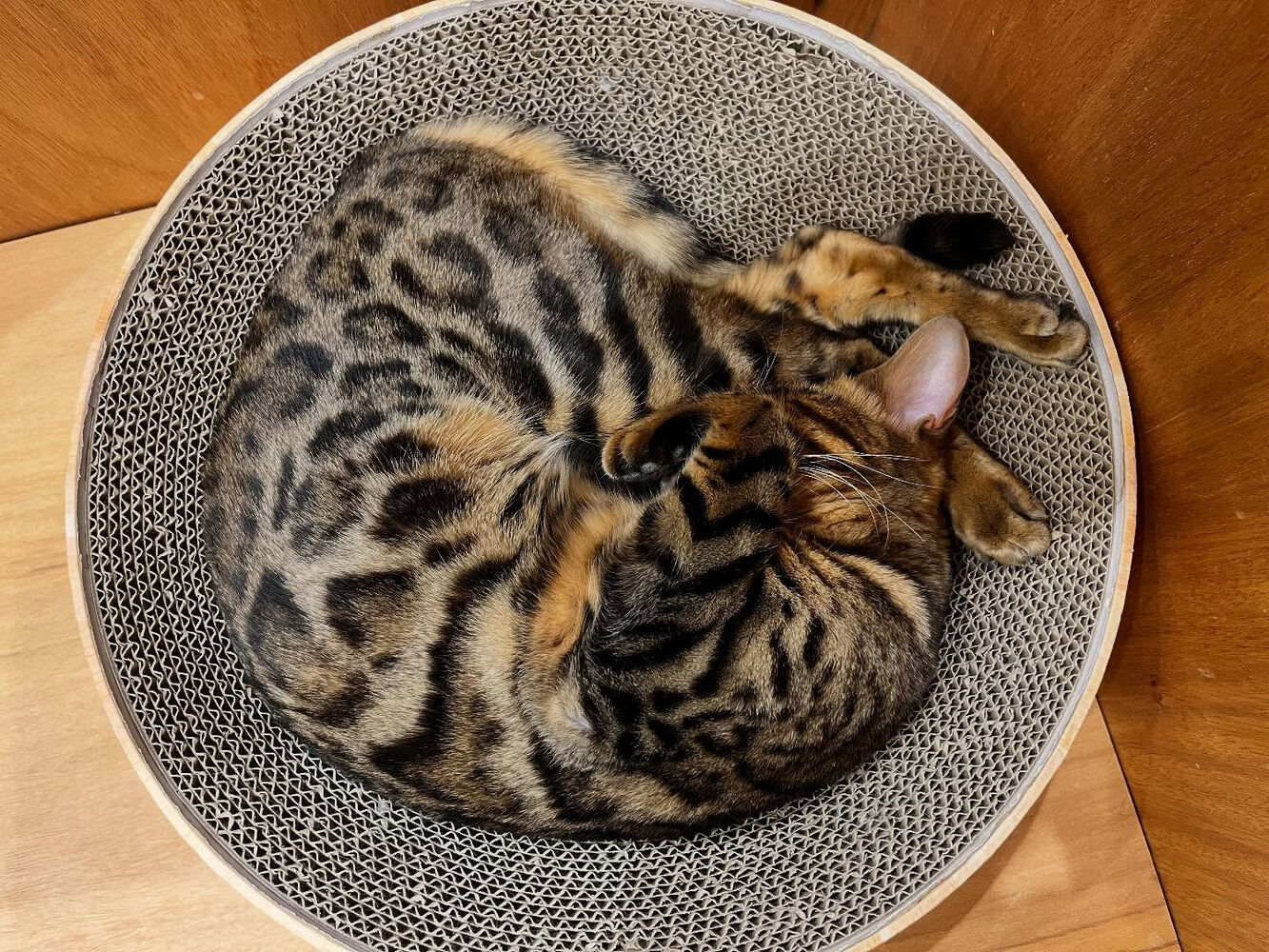 ブログ