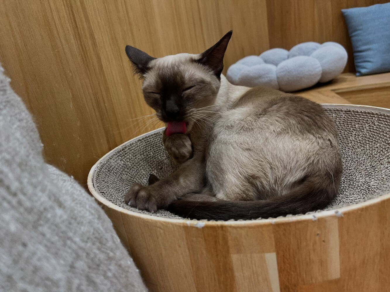 ブログ