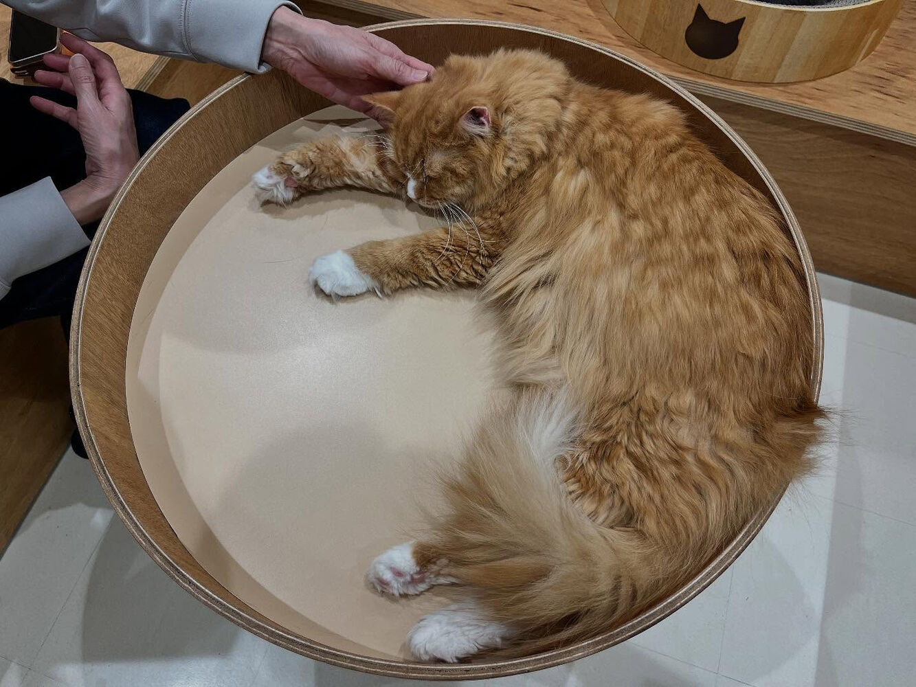 ブログ